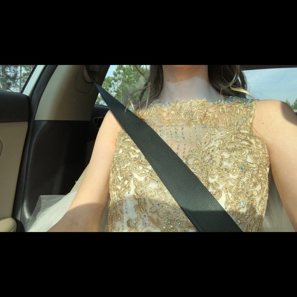 Prom/Formal Dress - Picture 2 of 2